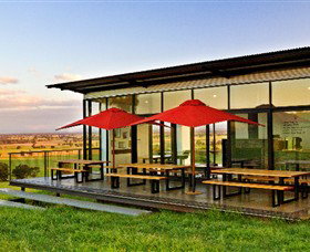 Tallis Wine Cellar Door - Tourism Search 5
