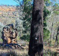 Eualdrie walking track - Tourism Search