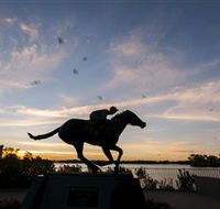 Black Caviar Statue - Tourism Search