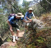 Mount Arthur Reserve - Tourism Search