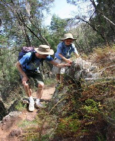 Mount Arthur Reserve - Tourism Search 0