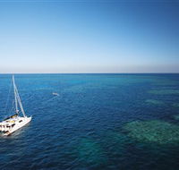 Bait Reef and Garys Lagoon Dive Site - Tourism Search