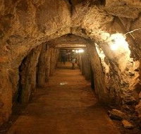 Wellington Caves and Phosphate Mine - Tourism Search