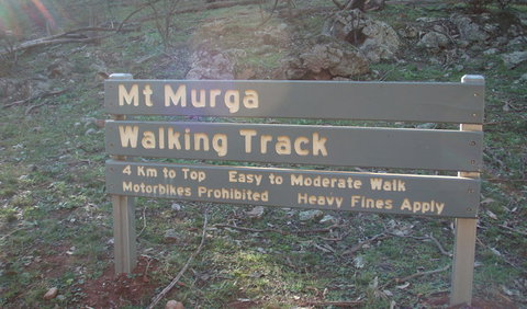 Mount Murga Walking Track - Tourism Search 1