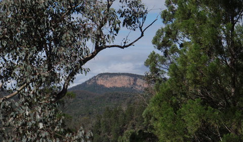 Mount Murga Walking Track - Tourism Search 2
