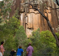 Sawn Rocks walking track - Tourism Search