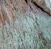 The Rock Nature Reserve - Kengal Aboriginal Place - Tourism Search