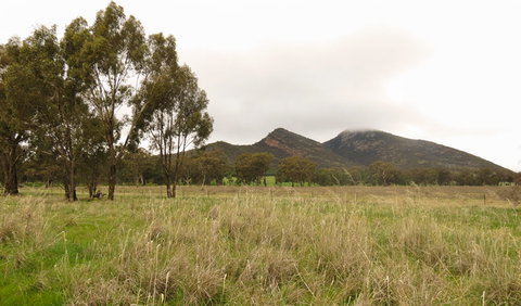 The Rock Nature Reserve - Kengal Aboriginal Place - Tourism Search 2