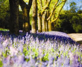 Duneira, Mt Macedon - Tourism Search 4