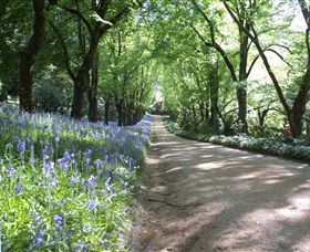 Duneira, Mt Macedon - Tourism Search 3