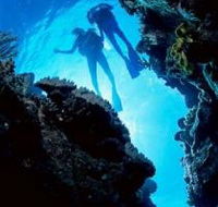 Caves and Canyons Dive Site - Tourism Search