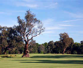 Corowa Golf Club - Tourism Search 5