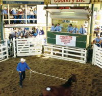 Gracemere Exhibition Complex - Tourism Search