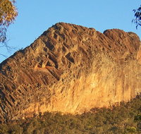 Kaputar scenic drive - Tourism Search