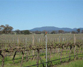 Monument Vineyard - Tourism Search 1