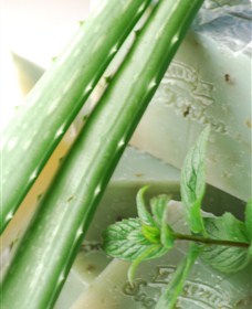 Gourmet Soap Kitchen - Tourism Search 1