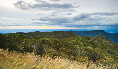 Doug Sky Lookout - Tourism Search 2