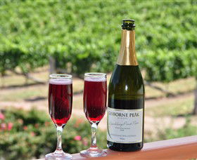 Gisborne Peak Winery - Tourism Search 2