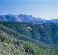 Buffalo Brewery - Tourism Search