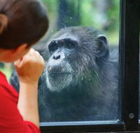 The Rockhampton Zoo - Tourism Search