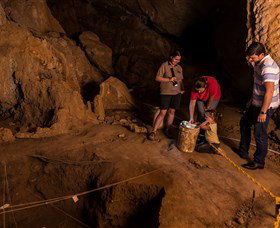 Capricorn Caves - Tourism Search 2