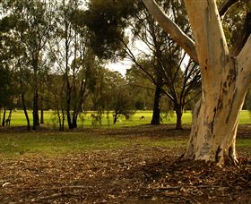 Benalla Golf Club - Tourism Search 2