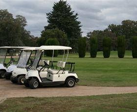 Benalla Golf Club - Tourism Search 3