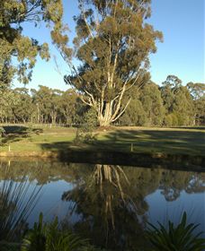 Benalla Golf Club - Tourism Search 5