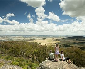 Mt Wombat Lookout - Tourism Search 0