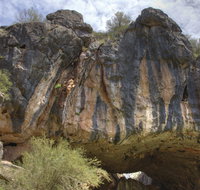Borenore Karst Conservation Reserve - Tourism Search
