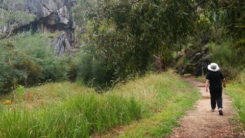 Borenore Karst Conservation Reserve - Tourism Search 3