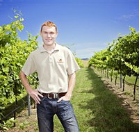 Stockmans Ridge Wines - Tourism Search