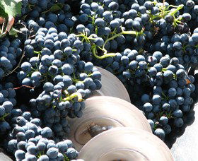 Orange Mountain Wines - Tourism Search 2