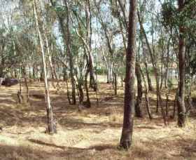 Chiltern-Mt Pilot National Park - Tourism Search 0
