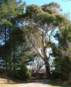 Habitat Vineyard - Tourism Search 1