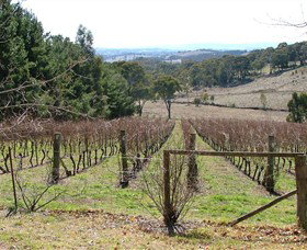 Habitat Vineyard - Tourism Search 0