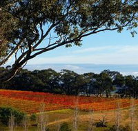 Bloodwood Estate - Tourism Search