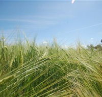 150 Degrees East Meridian - Tourism Search