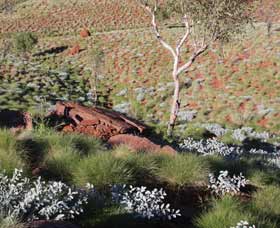 Camel Trail, Millstream-Chichester National Park - Tourism Search 2