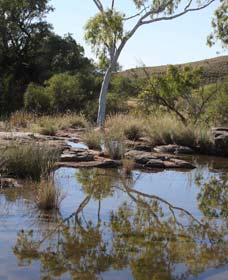 Camel Trail, Millstream-Chichester National Park - Tourism Search 3