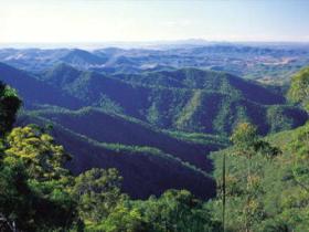 Kroombit Tops National Park - Tourism Search 0