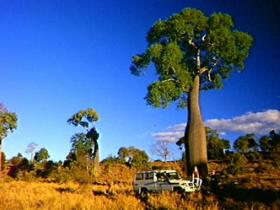 Kroombit Tops National Park - Tourism Search 1