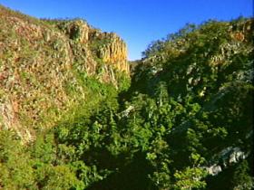 Kroombit Tops National Park - Tourism Search 2