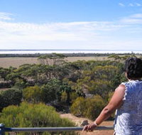 Lake Grace Lookout - Tourism Search