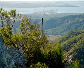 Mount Larcom Climb - Tourism Search 1