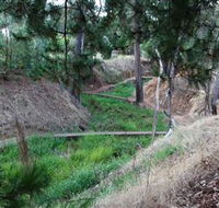 Lions Club Bicentennial Walk - Tourism Search