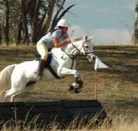 National Equestrian Centre - Kerrabee - Tourism Search