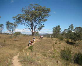 Kambah Pool To Pine Island - Tourism Search 1