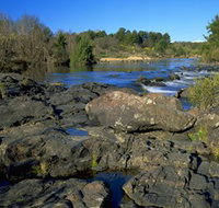 Kambah Pool to Pine Island - Tourism Search