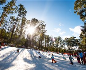 Corin Forest Mountain Resort - Tourism Search 1